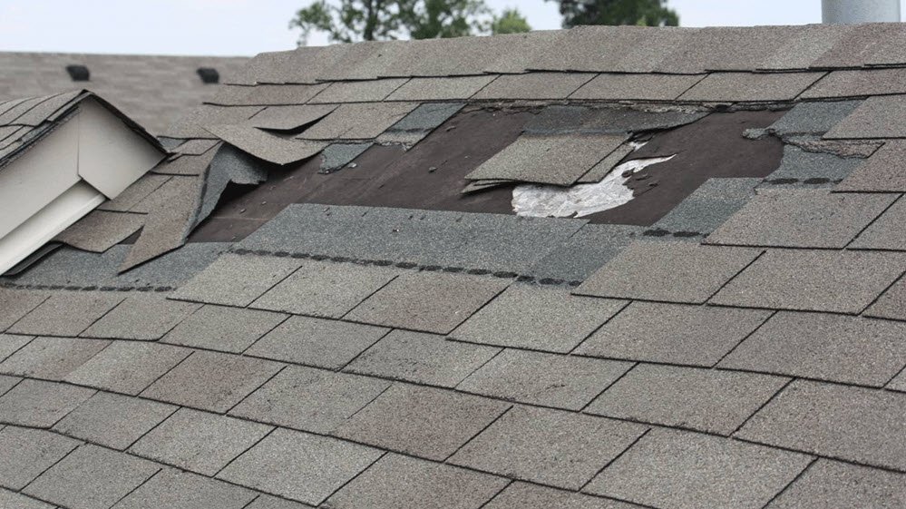 Roof Replacement Services Northville